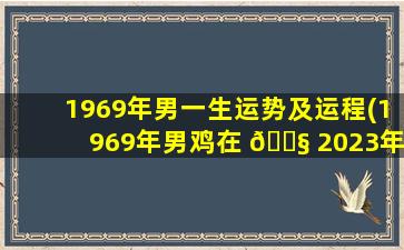 1969年男一生运势及运程(1969年男鸡在 🐧 2023年运 🐬 势如何)